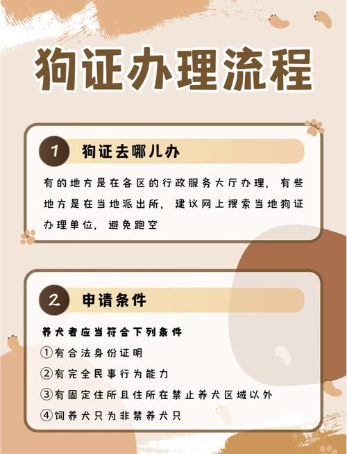 武汉饲养哈士奇必备手续全指南  