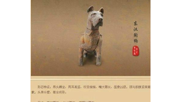 南京土狗：忠诚守护者的城市记忆