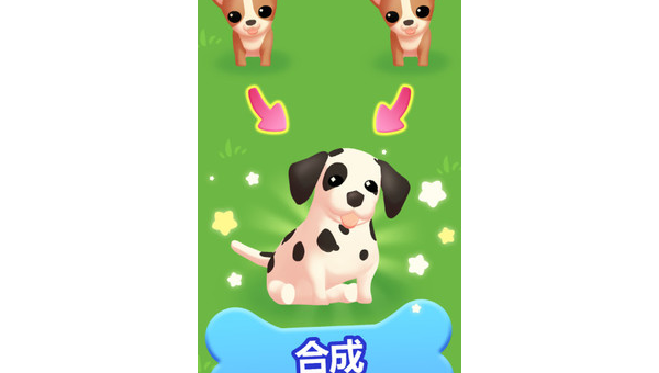 土狗变身萌宠：普通人如何将田园犬养成家庭宝贝