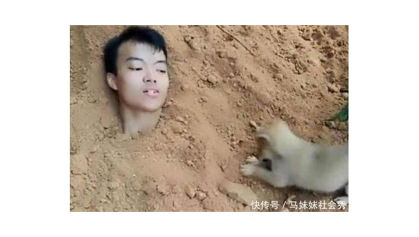 网友抱回小土狗暖心故事：从流浪到被宠爱