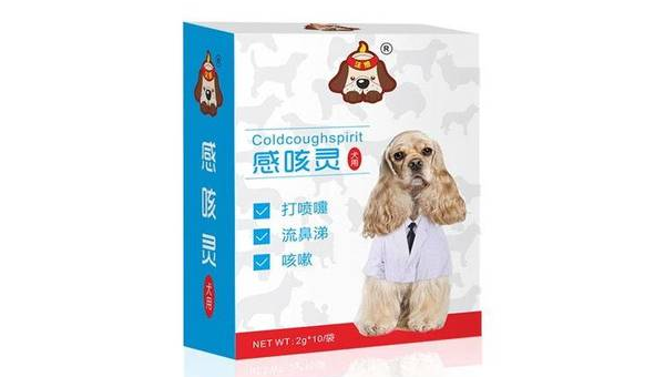 拉布拉多感冒流黄鼻涕的成因与应对措施